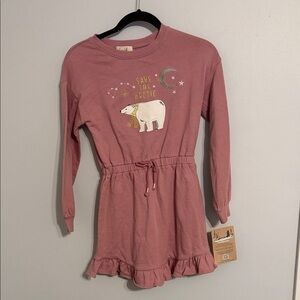 Peek The Nature Conservancy Collab Long-Sleeve Dress Polar Bear Design Sz 10